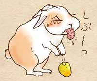渋いカリンを食べてうんざり顔のうさぎのぷう太郎