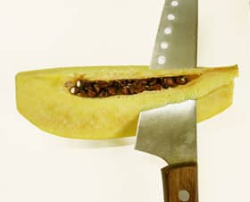 カリンを縦に切って、種子の部分と切り分けます