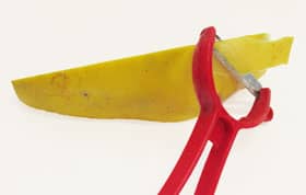 カリンを立てて縦に切ります