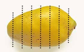 カリンの実を輪切りにする