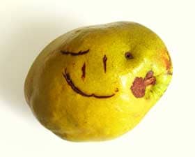 愛嬌のある追熟中のカリンの実