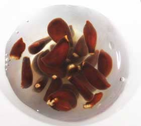 水を含んでとろみが出るカリンの種子