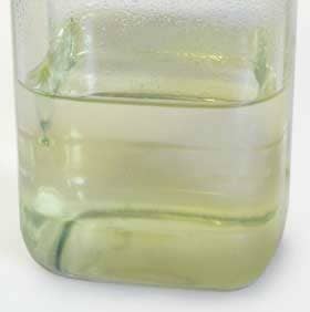 カリンの種子を浸してから種子を取り除いたアルコール