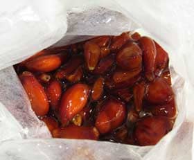 お茶パックに詰めてアルコールに浸して朱色になったカリンの種子