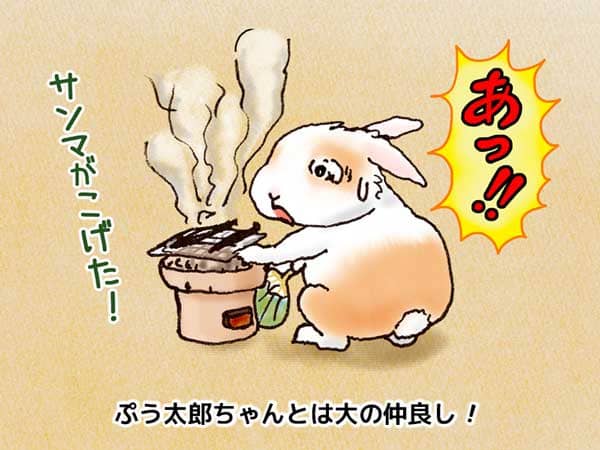 大の仲良しのうさぎのぷう太郎ちゃんがサンマを七輪で焼いて焦がしてしまっている。